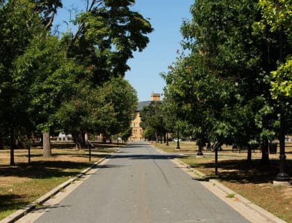 Road with Trees in Lawrence MA