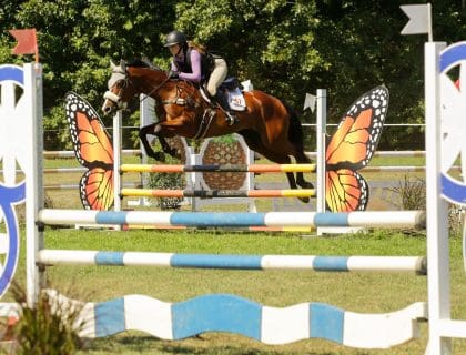 Equestrian and Sport Horse During a Polo Match in Hamilton MA