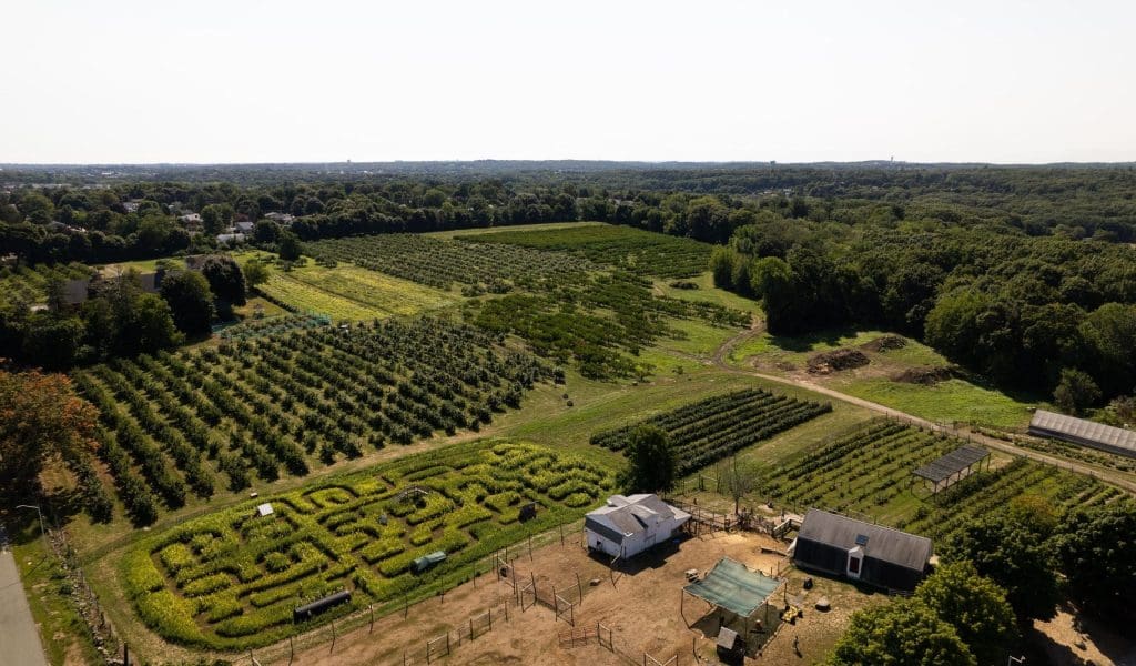 Sky View of Brooksby Farm including Corn Maze in Peabody MA