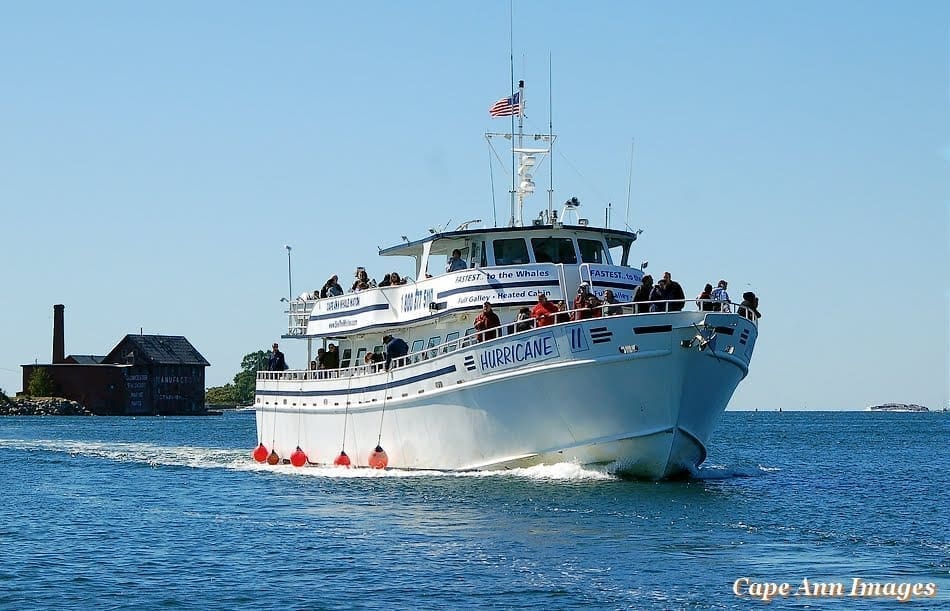Cape Ann Whale Watch - Things to do, Gloucester, MA