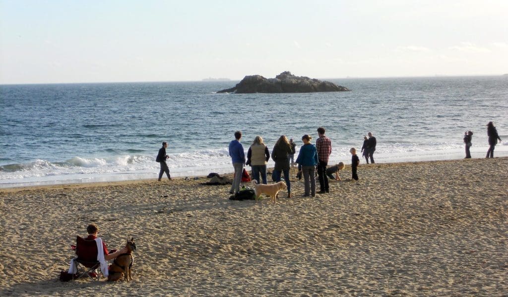 Plan a Dog Friendly Vacation North of Boston
