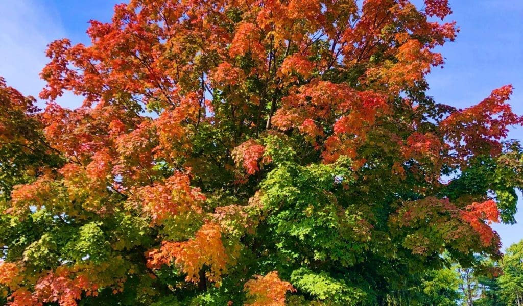 Spreading out from Salem for Fall Fun