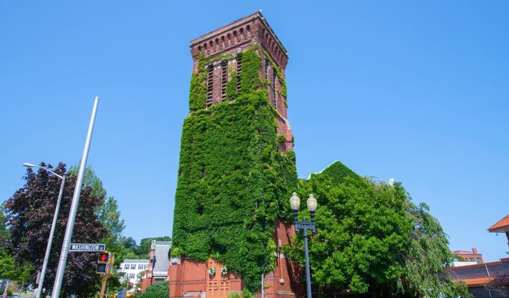 Discover Spring Beauty in the City of Lynn, MA