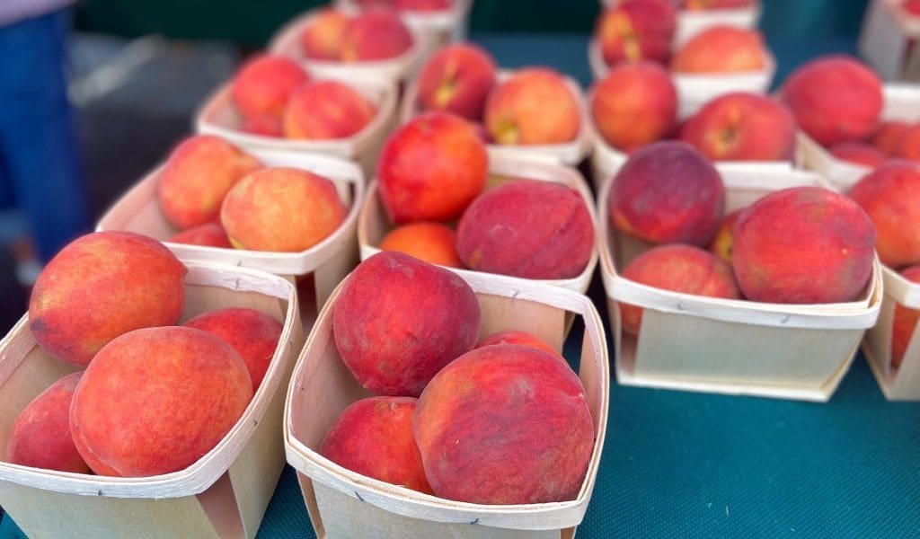 A Sweet Day Shopping at the Farmer’s Market in North Andover