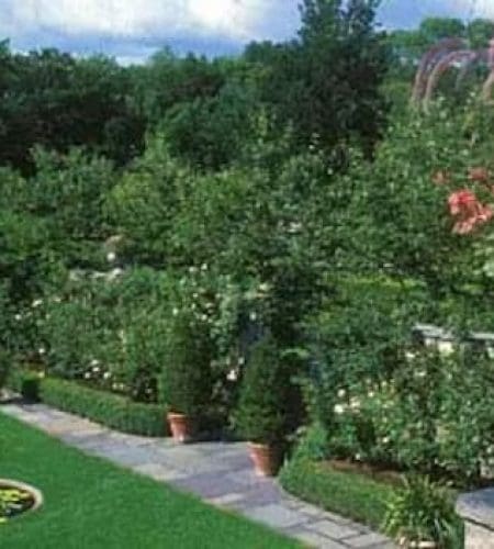 Garden in the Stevens-Coolidge Place in North Andover_MA