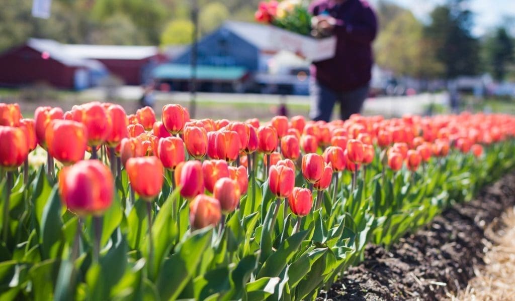 May You Enjoy Everything There is To Do North of Boston This Month