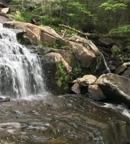 Image of water flowing down rocks inext to full green trees in Weir Hill, MA