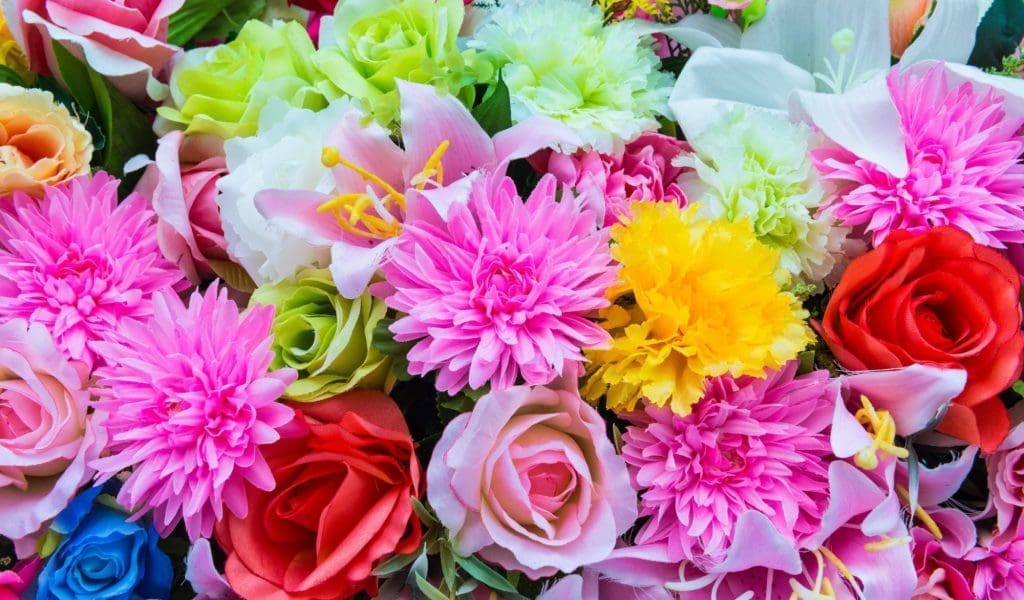 Celebrate Mother’s Day on the North Shore of Massachusetts