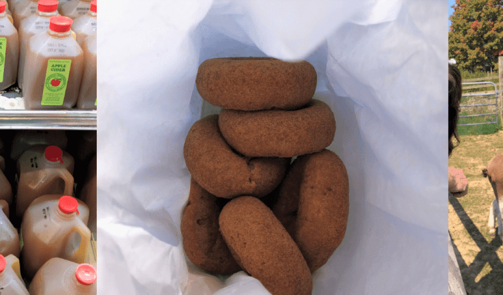Cider Donut Season