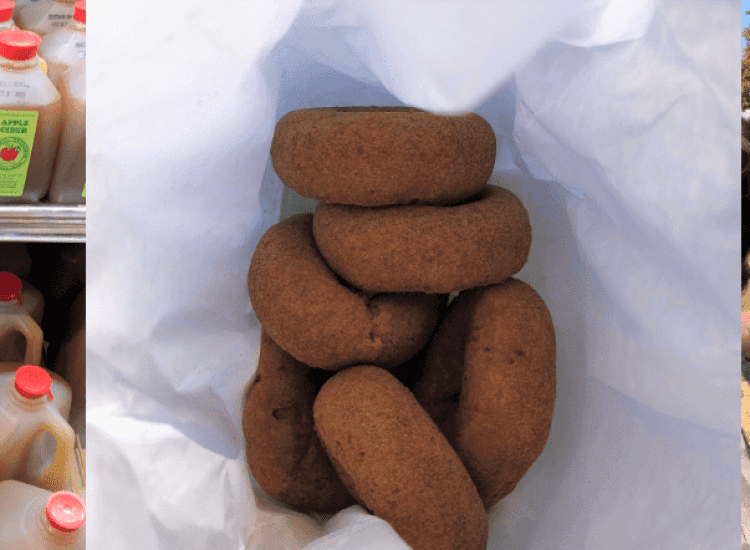 Cider Donut Season