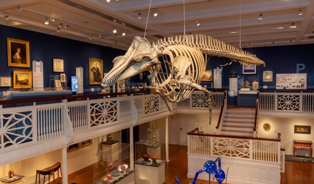 Family-Friendly Rainy Day Destinations North of Boston