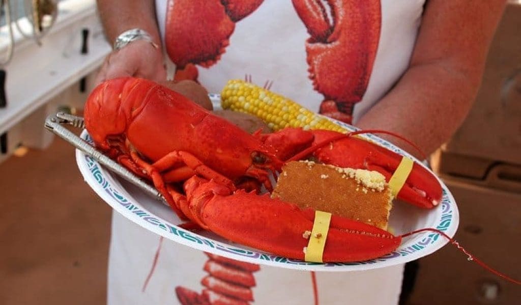 Feast this Fall in the North of Boston