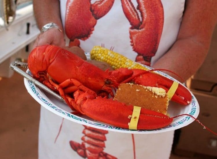 Feast this Fall in the North of Boston