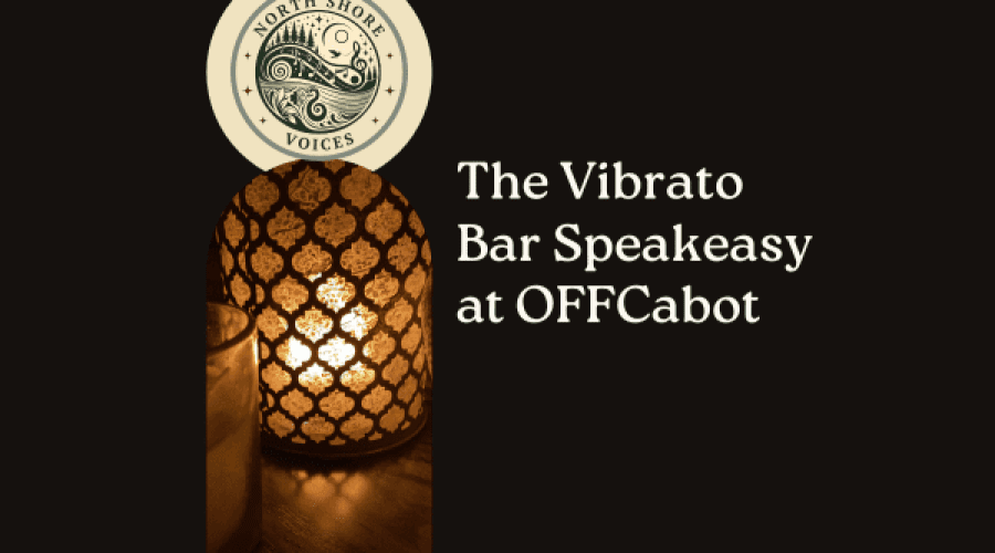 https://northofboston.org/wp-content/uploads/2024/04/Vibrato-Bar-Logo-Arts-boston.png