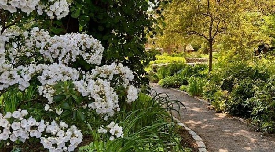 https://northofboston.org/wp-content/uploads/2024/05/Garden.jpg
