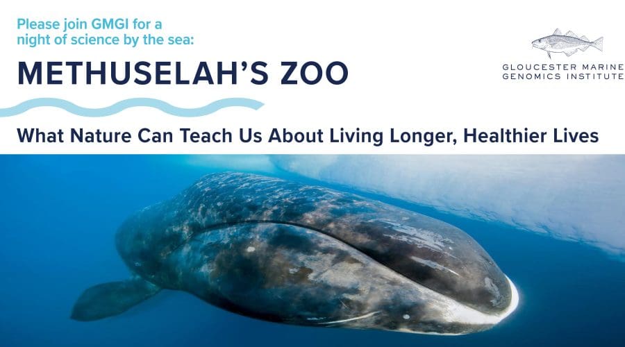 https://northofboston.org/wp-content/uploads/2025/05/Science-by-the-Sea-Lecture-Banner-scaled.jpg