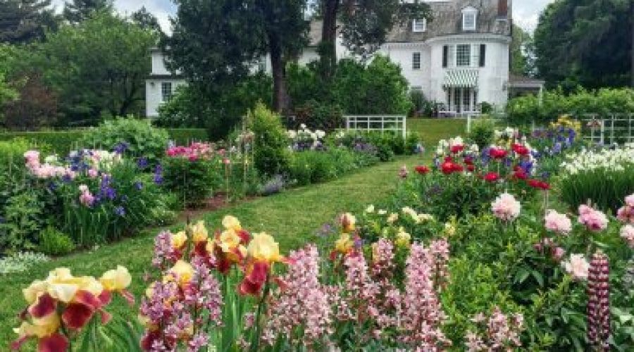 https://northofboston.org/wp-content/uploads/2025/05/bloomroom.jpg