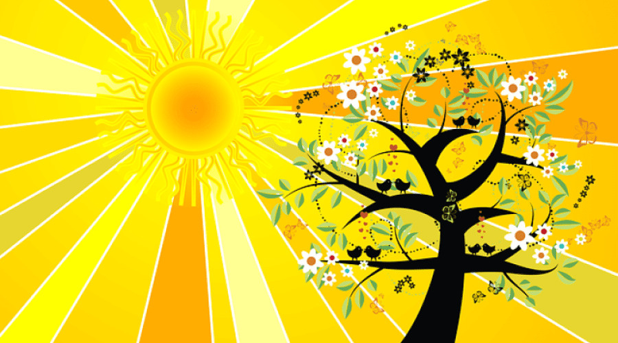 https://northofboston.org/wp-content/uploads/2025/05/summersolsticeyoga.png