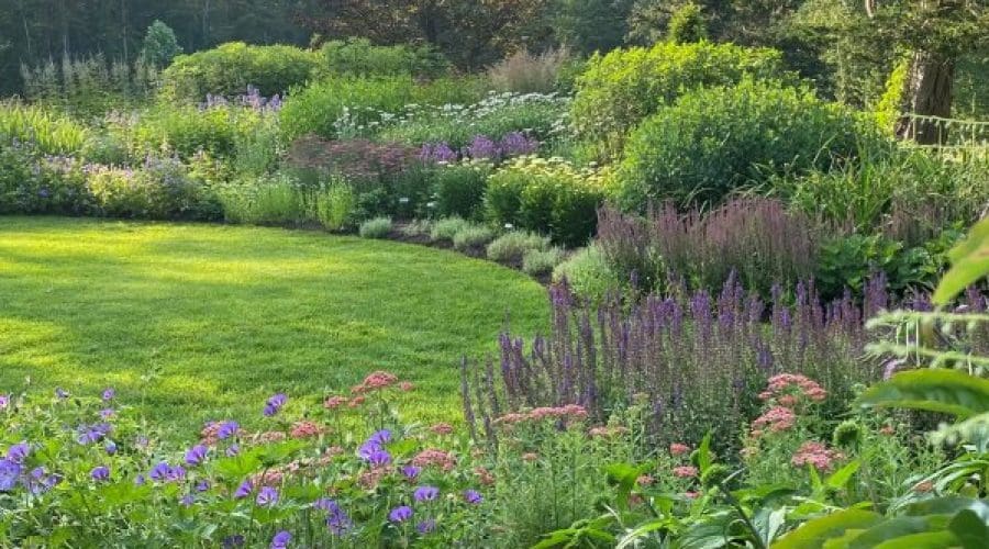 https://northofboston.org/wp-content/uploads/2025/05/thesummergarden.jpg