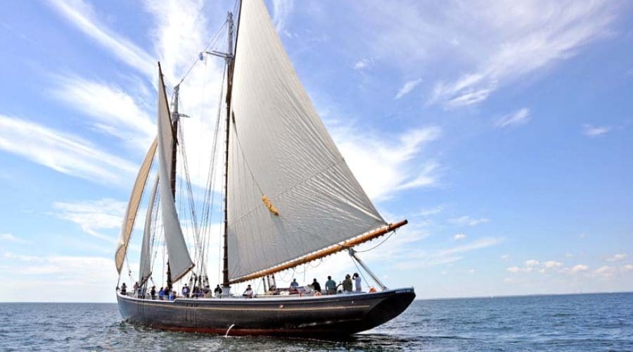 https://northofboston.org/wp-content/uploads/2025/06/DSC_0561.jpg