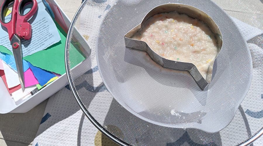 https://northofboston.org/wp-content/uploads/2025/06/Paper-Making-Set-up600x400.jpg