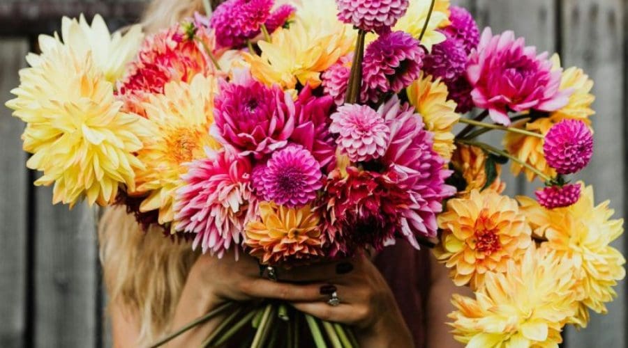 https://northofboston.org/wp-content/uploads/2025/07/cutflower.jpg
