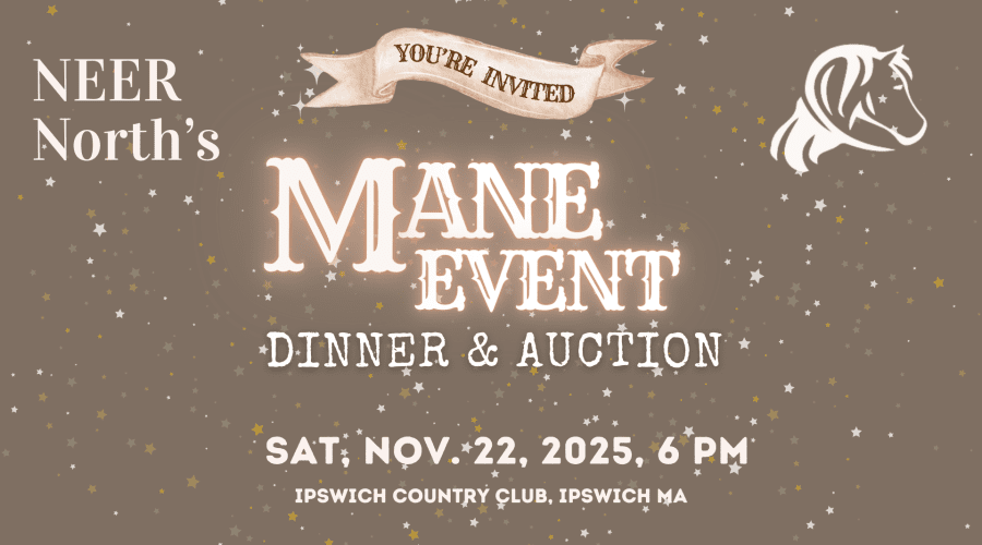 https://northofboston.org/wp-content/uploads/2025/10/Auction-25-Facebook-Event-1.png
