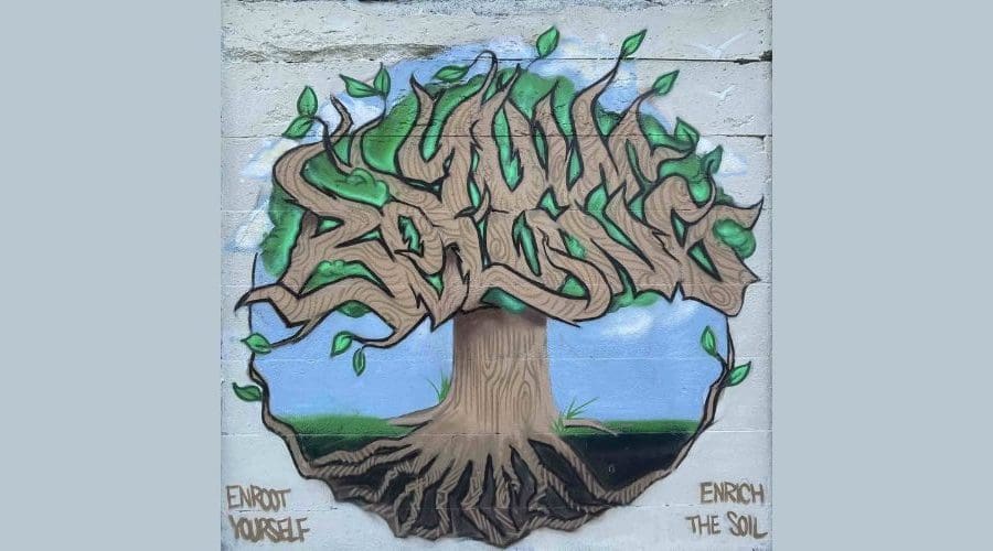 https://northofboston.org/wp-content/uploads/2025/10/Creative-Neighbors-Vecinos-Creativos-Punto-Urban-Art-Museum.jpg