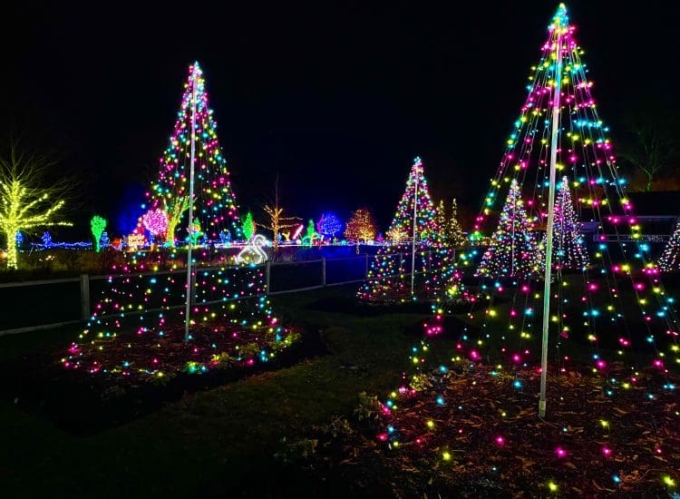 Cozy Up to Holiday Happenings this December North of Boston