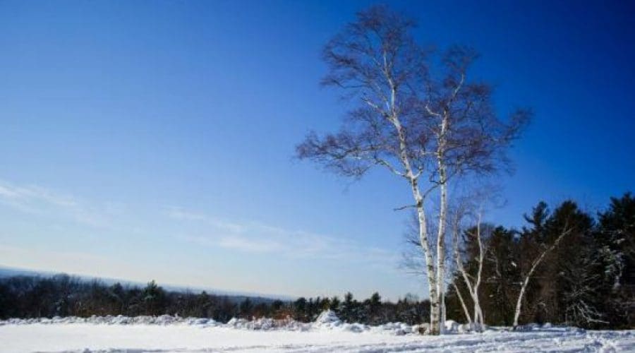https://northofboston.org/wp-content/uploads/2026/01/6182eed1d2fae.jpg