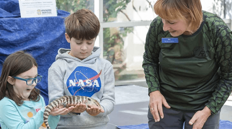 https://northofboston.org/wp-content/uploads/2026/03/Live-Animal-Encounter.png