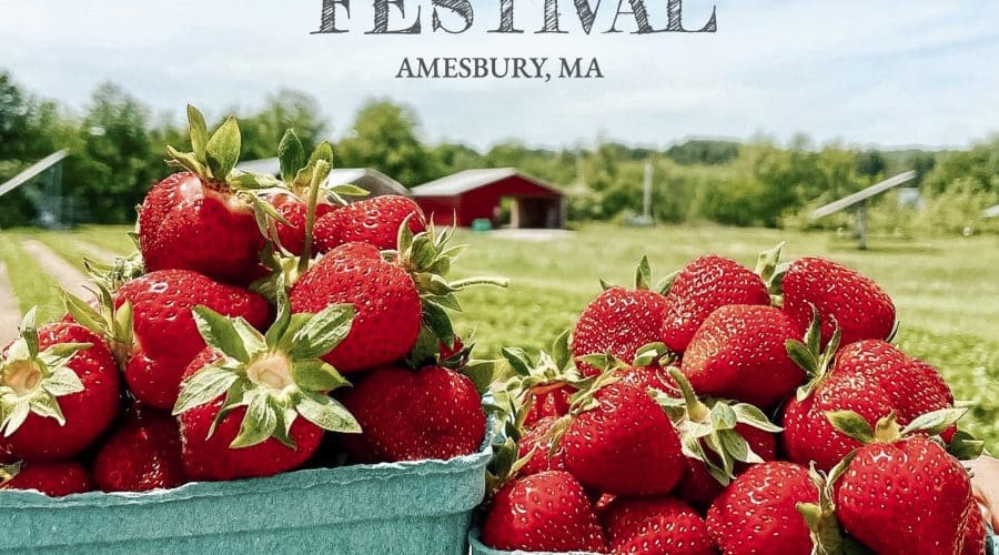https://northofboston.org/wp-content/uploads/2026/03/Strawberry-Festival_1080x1080.jpg