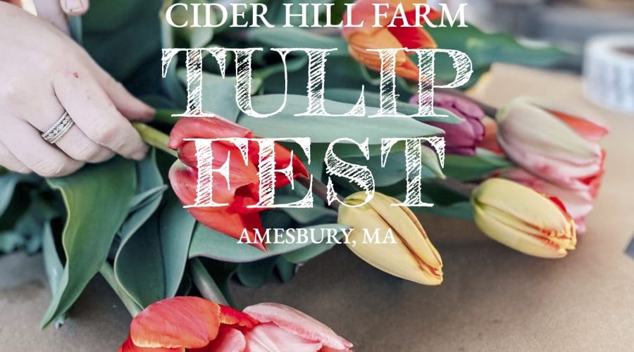 https://northofboston.org/wp-content/uploads/2026/03/Tulip-Fest_1080x1080.jpg