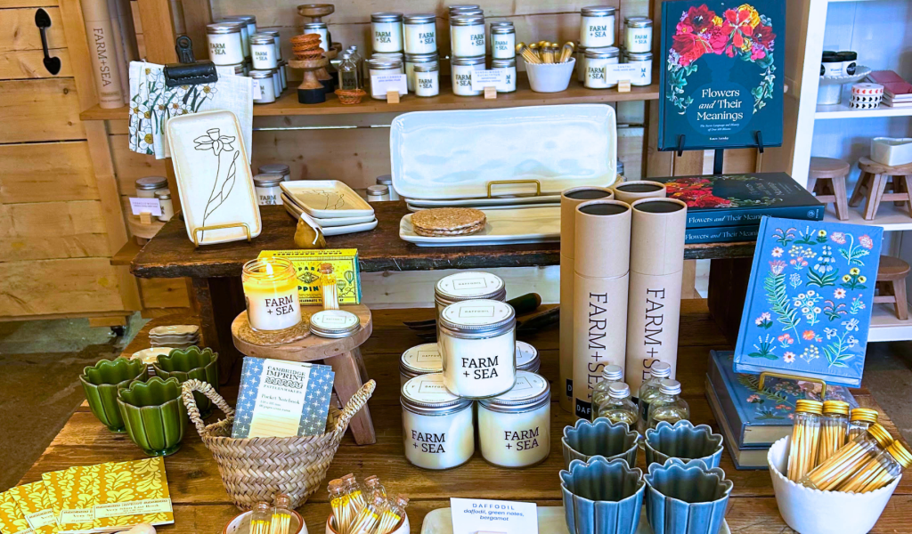 Souvenirs Unique to North of Boston 