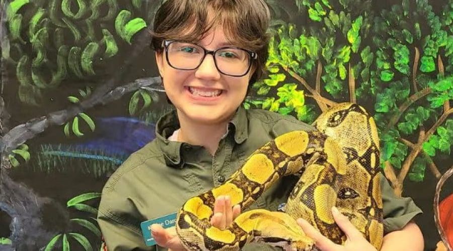 https://northofboston.org/wp-content/uploads/2026/04/Rainforest-Reptiles.jpeg