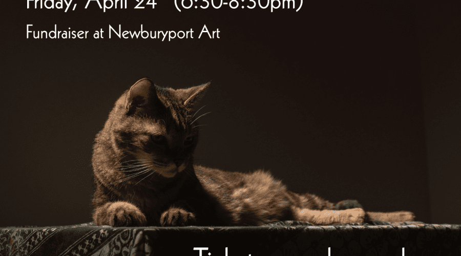 https://northofboston.org/wp-content/uploads/2026/04/The-Cats-Pajamas.png