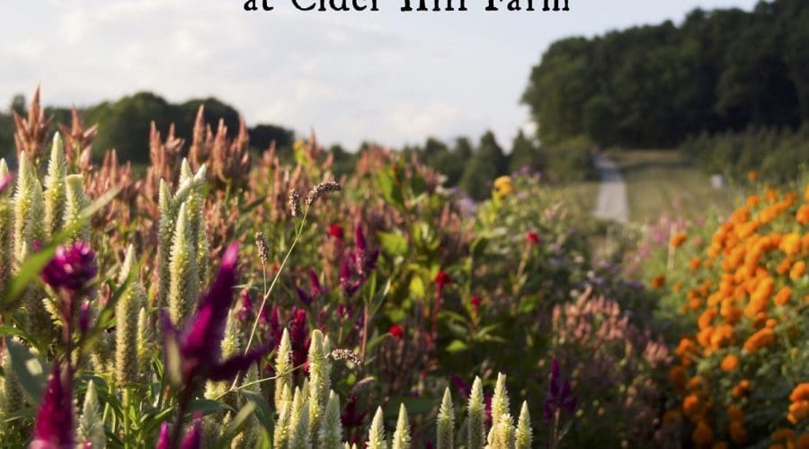https://northofboston.org/wp-content/uploads/2026/05/After-Hours-Sip-and-Cut.jpg
