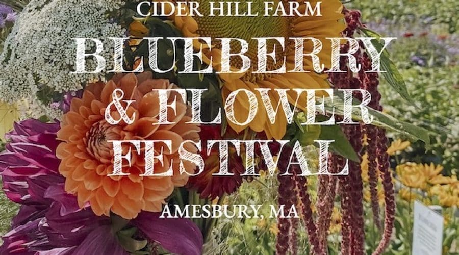 https://northofboston.org/wp-content/uploads/2026/05/Blueberry-Flower-Festival_628.jpeg