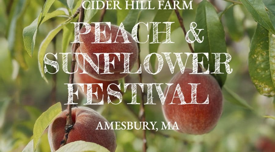 https://northofboston.org/wp-content/uploads/2026/05/Peach-Sunflower-Festival_1080x1080.jpg