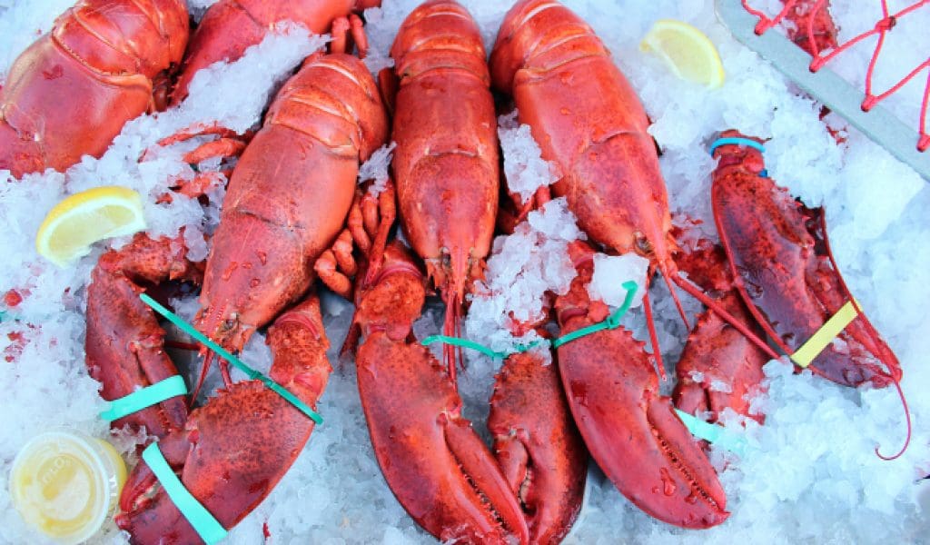 North of Boston is Fresh, Local & Full of Flavor