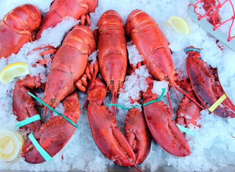 North of Boston is Fresh, Local & Full of Flavor