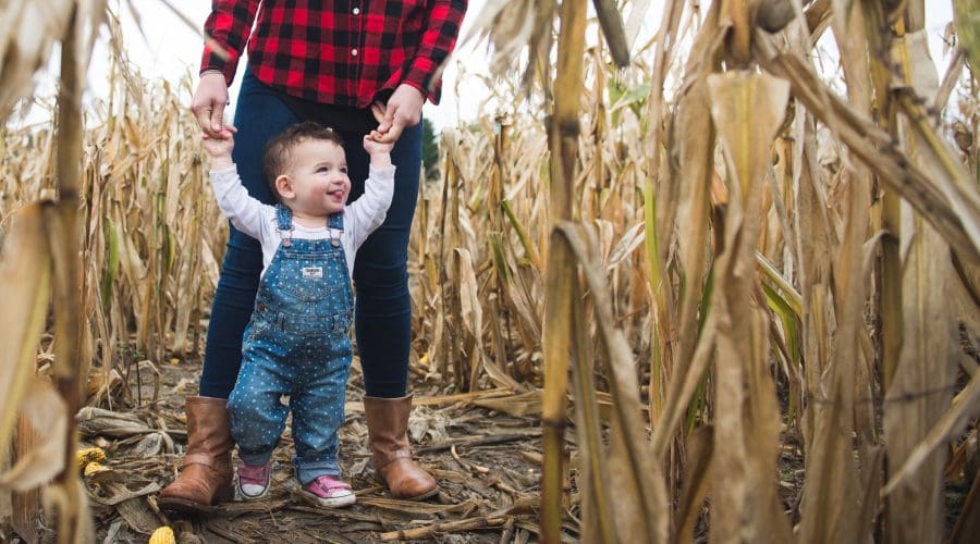 https://northofboston.org/wp-content/uploads/2026/07/Corn-Maze.jpg