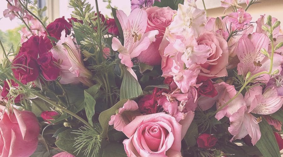 https://northofboston.org/wp-content/uploads/2026/07/Floral_.jpg