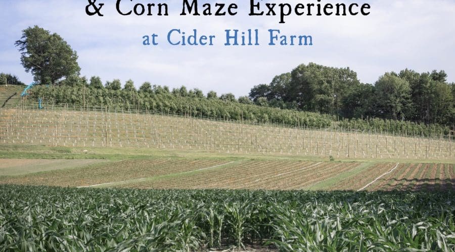 https://northofboston.org/wp-content/uploads/2026/08/Corn-Crawl.jpg