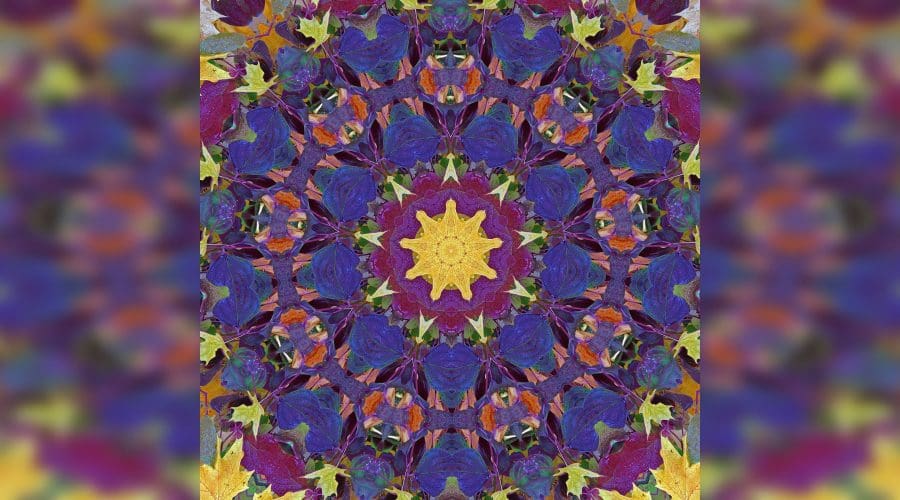 https://northofboston.org/wp-content/uploads/2026/08/Studio-Saturdays-Natures-Abundance-Collages-scaled.jpeg