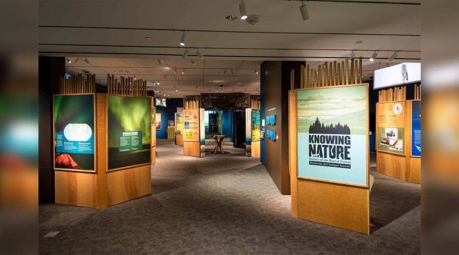 https://northofboston.org/wp-content/uploads/2026/09/Curator-Led-Tour-Knowing-Nature.jpeg