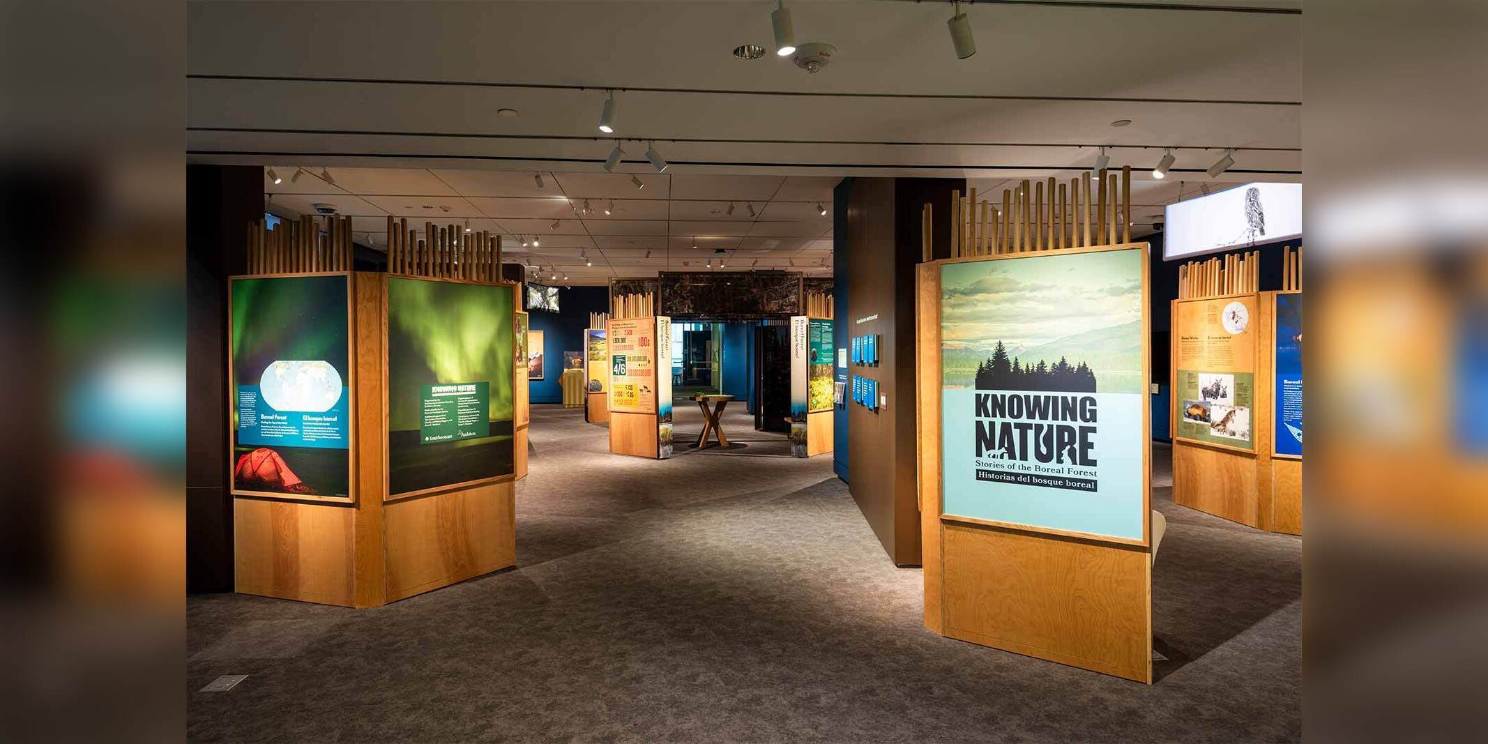 Curator-Led Tour: Knowing Nature