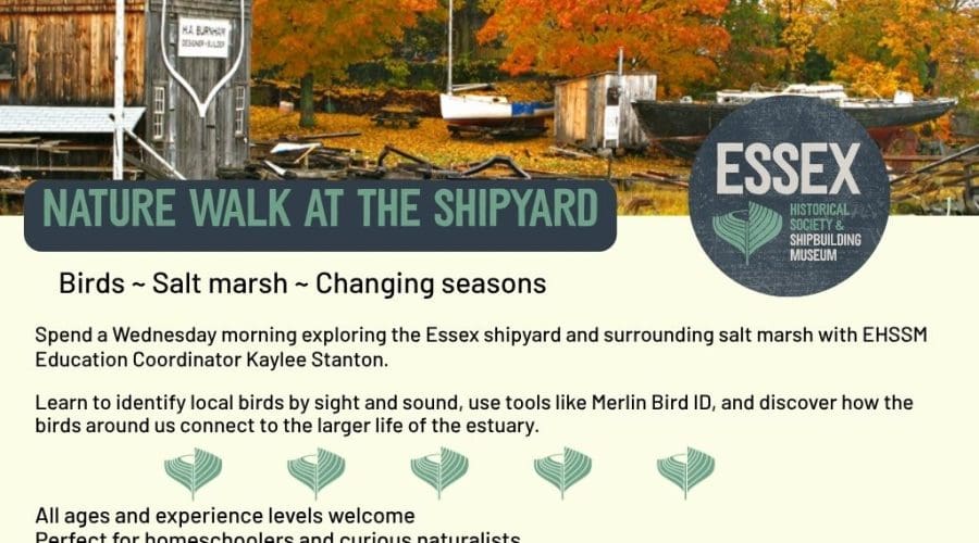 https://northofboston.org/wp-content/uploads/2026/09/Nature-Walks-Square.jpg