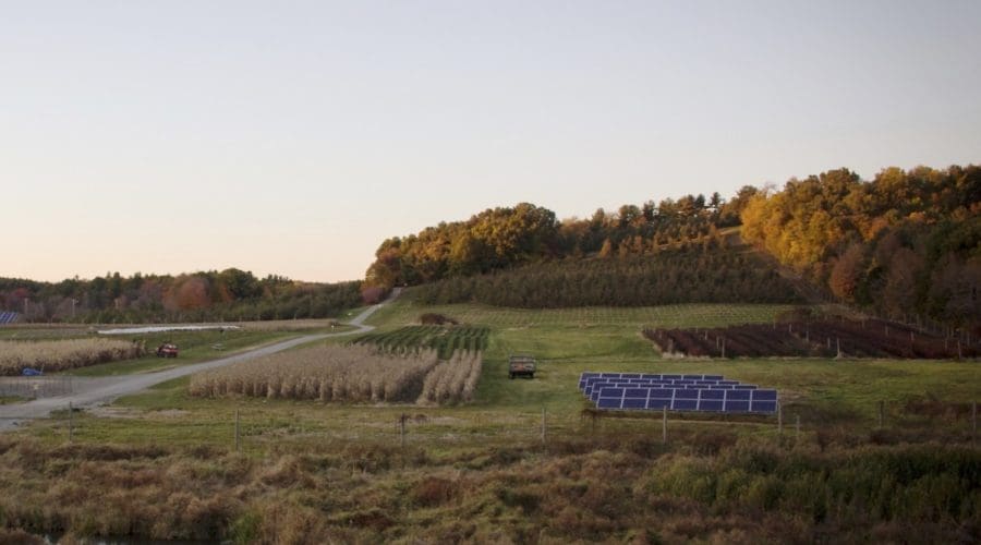 https://northofboston.org/wp-content/uploads/2026/10/Fall-Orchard-Walk_square.jpg